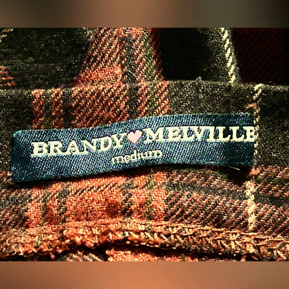 Plaid Button Up Brandy Melville Skirt